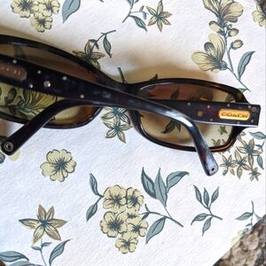 Coach Brown Sunglasses
